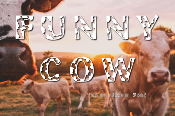 A Display Font That Makes Campaigns Feel Alive