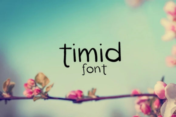 Timid: A Display Font That Makes Your Headlines Feel Human
